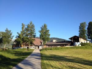 a road leading to a house in a field at Burglehnerhof in Ramsau am Dachstein