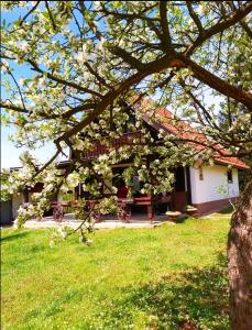 une maison avec un arbre planté de fleurs blanches dans l'établissement Vikendica odmor za dusu, à Visoko