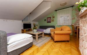 TV a/nebo společenská místnost v ubytování Apartment Ivanka