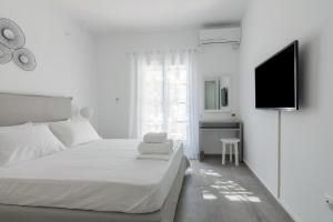 TV a/nebo společenská místnost v ubytování Marvelous One Bedroom House In Paros