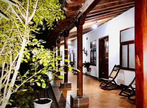 a hallway with a bunch of potted plants at Hotel Villa de Mompox in Mompos