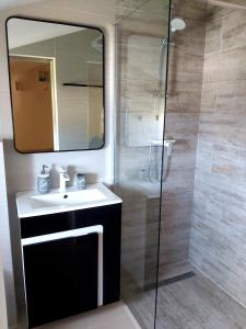a bathroom with a shower and a sink and a mirror at APARTMAN VINKO in Barbat na Rabu