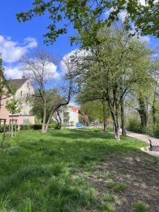 un parc avec de l'herbe et des arbres verdoyants et un bâtiment dans l'établissement nice2be Apartments, à Augsbourg