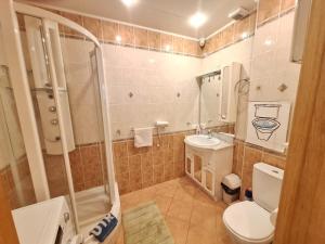 a bathroom with a shower and a toilet and a sink at Saules 4 in Daugavpils