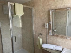 a bathroom with a shower and a sink and a mirror at Bon-Ami in Lowestoft
