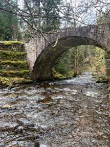 an old stone bridge over a stream in the woods at Charmant appartement à Gérardmer in Gérardmer