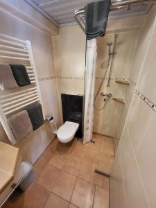 a small bathroom with a toilet and a shower at Gästehaus Schwarz in Prien am Chiemsee