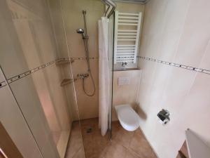 a small bathroom with a shower and a toilet at Gästehaus Schwarz in Prien am Chiemsee