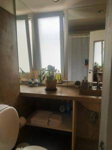 een badkamer met een wastafel en een spiegel bij Departamento en Tandil x 2 in Tandil