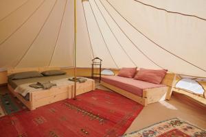 a room with two beds in a tent at Agricola Ombra - Tents in nature in Laiatico