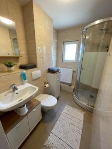 ein Bad mit einem Waschbecken, einer Dusche und einem WC in der Unterkunft Apartment Marielena in Püttlingen