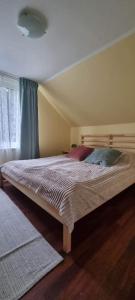 1 dormitorio con 1 cama grande en una habitación en Miętowy Domek Trzebawie 