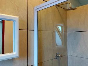 ducha con puerta de cristal y espejo en Suites on 74, en Worcester