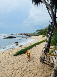 a dog walking on a beach near the ocean at All View Resort in Tangalle