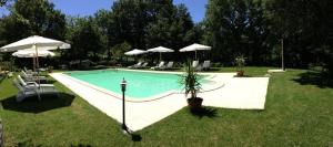 a swimming pool with chairs and umbrellas in a yard at Antico Casale Pozzuolo in Seggiano