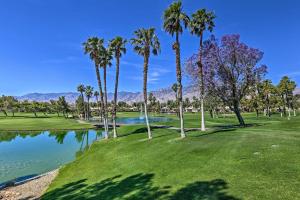 a golf course with palm trees and a pond at Resort Pools and Golf Palm Springs Condo! in Cathedral City