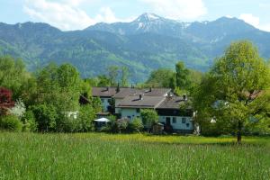 a house in a field with mountains in the background at Haus-Monika-am-Chiemsee in Übersee