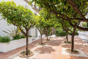 Ogród w obiekcie Dona Lola Micaela Beach front duplex apartment with open sea and beach views located between Marbella and Fuengirola - Costa del Sol - CS148