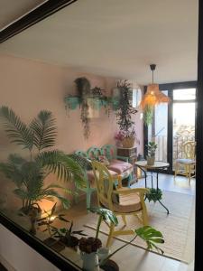 una sala de estar con plantas en la pared en CASA RURAL ALEGRE, en La Fresneda