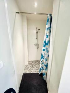 La petite salle de bains est pourvue d'une douche et d'un rideau de douche. dans l'établissement The Cocoon in the center of Senlis, à Senlis