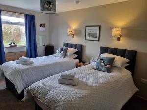 1 dormitorio con 2 camas y ventana en Bellavista Guest House, en Kirkwall