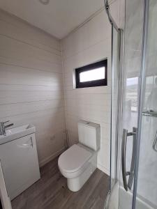 a bathroom with a toilet and a sink and a shower at Donegal Luxury Pods in Gweedore