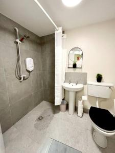 a bathroom with a toilet and a sink at Tods Lodge - Quiet area in Derry City in Derry Londonderry