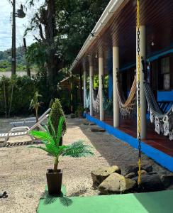 a house with hammocks and a plant in front of it at Pousada Pé Na Areia - ilha do mel in Paranaguá