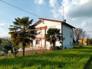 米拉的住宿－Ca' Molino Giare 1，一座白色的房子,两棵棕榈树在田野里