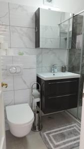 un baño con inodoro y lavabo en Apolonija, en Rijeka