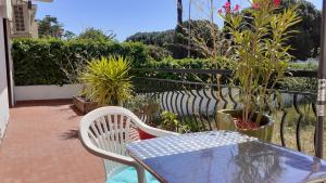 patio ze stołem, krzesłami i roślinami w obiekcie Bel appartement avec grande terrasse ensoleillée et jardin w Perpignanie