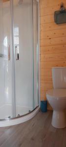 a bathroom with a shower and a toilet at The Stunning Log House in Wexford