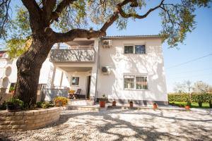 a white house with a tree in front of it at Apartment Carmen in Pula