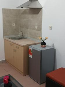 a small kitchen with a sink and a refrigerator at Halkidiki Rooms in Nea Fokea