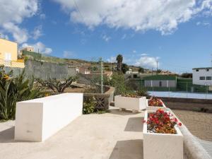 a group of flowers in white boxes on a patio at Lightbooking Casa Maye Tenerife in Güimar