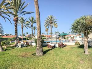 un gruppo di palme in un parco con piscina di Lightbooking Los Arcos Playa Inglés 174 a Playa del Ingles