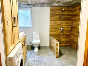 a bathroom with a toilet and a shower at La-Marti, Idyllische Unterkunft mit Kamin in Bagdatʼi