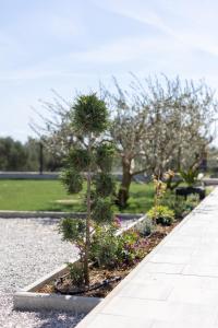 a row of trees and flowers in a park at Villa C'est la vie in Kaštela +44 photos