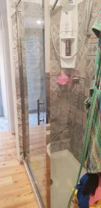 a shower with a glass door in a room at MiniLoft Cattaneo in Monza