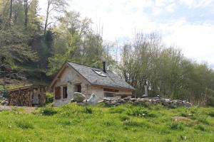 Příroda nedaleko bed and breakfast + 5 fotografií