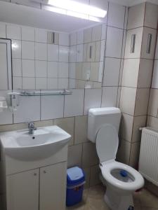 bagno con lavandino, servizi igienici e specchio di Mountain View a Buşteni
