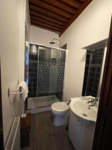 een badkamer met een douche, een toilet en een wastafel bij Manoir du Grail in Devesset
