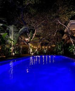 a blue swimming pool at night with lights at Villa Mango Jeri in Jericoacoara