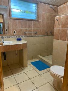 a bathroom with a toilet and a sink and a shower at Posada Nena Caribe in Puerto Viejo