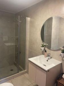 a bathroom with a shower and a sink and a mirror at Refugio Simple Sur Casa 6 personas in Malalcahuello