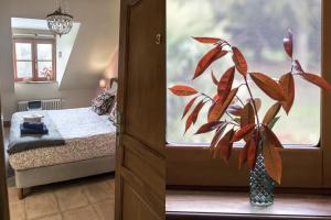 Φωτογραφία από το άλμπουμ του Les Aulnaies - B&B σε Mareuil-sur-Cher +40 φωτογραφίες