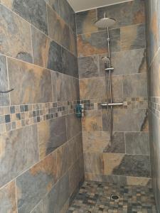 uma casa de banho com chuveiro e azulejos castanhos em Le Panorama Intense em Cilaos
