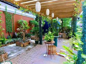 マニラにあるIsabelle Garden Villas 429の鉢植えの植物が並ぶパティオ