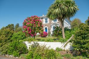a house with pink flowers and a palm tree at Ivy House Cornwall B&B in St Austell