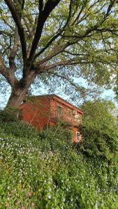 una casa roja sentada en la cima de una colina con un árbol en B&B Kikina, en Austis